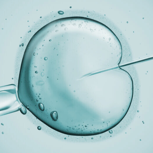IVF Befruchtung Behandlung