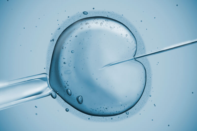 In vitro fecundation using sperm.