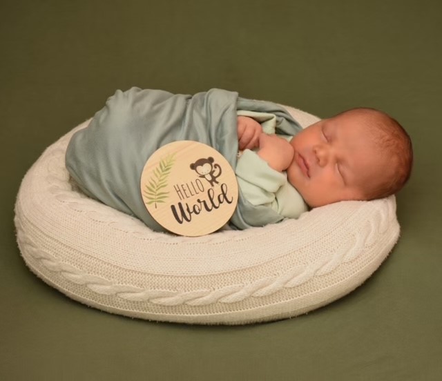 Henry • 2025 • Zentrum Wiesbaden